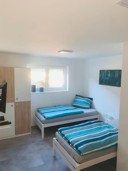 Moderne, Helle Ferienwohnung In Au Am Rhein 외부 사진